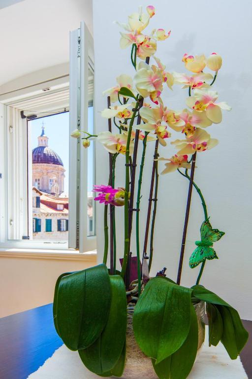 & Orlando Guest house